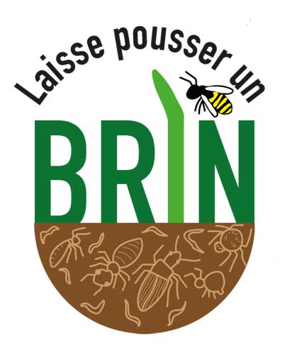 logo-laissepousserunbrin
