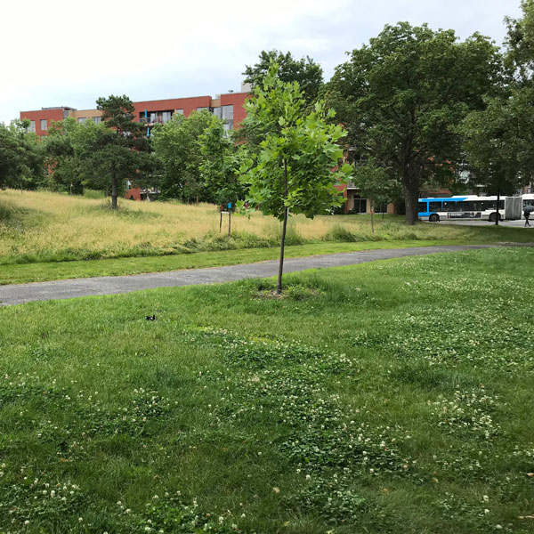Parc Maisonneuve à Montréal